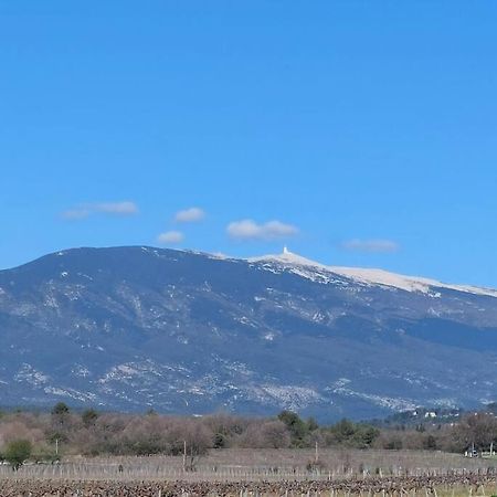 Вилла Mon Ventoux Modene Экстерьер фото
